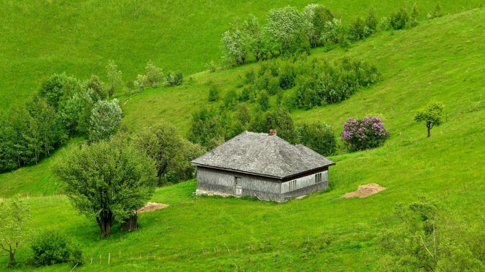 Villa The Barn à Şirnea Extérieur photo