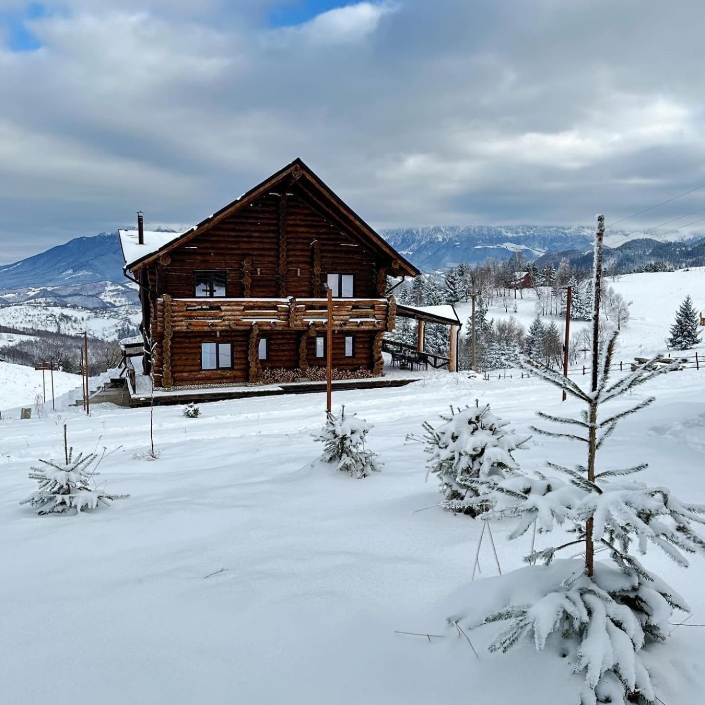Villa The Barn à Şirnea Extérieur photo